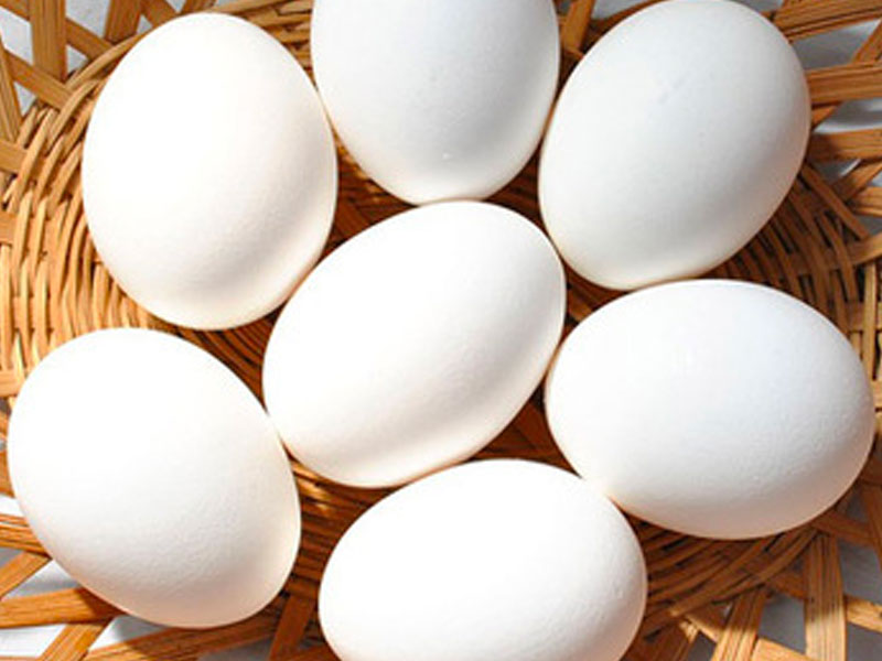 Chicken Eggs (Normal Chicken and Giriraja Chicken Eggs)