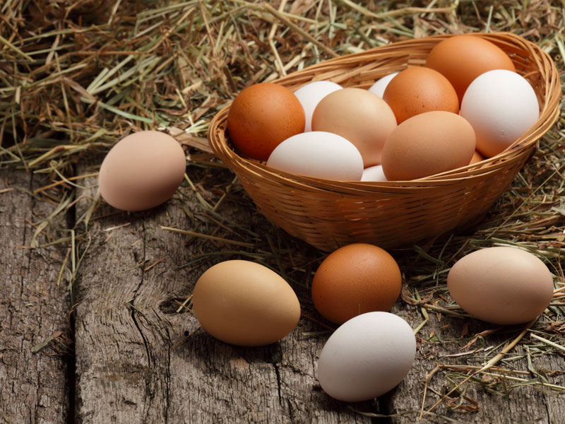 Chicken Eggs (Normal Chicken and Giriraja Chicken Eggs)