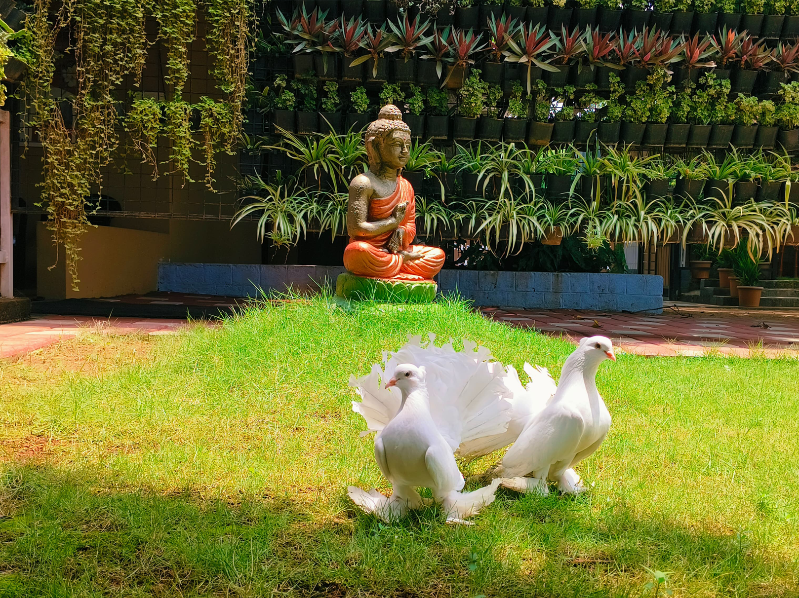 Sunvalley Farms, Palakkad