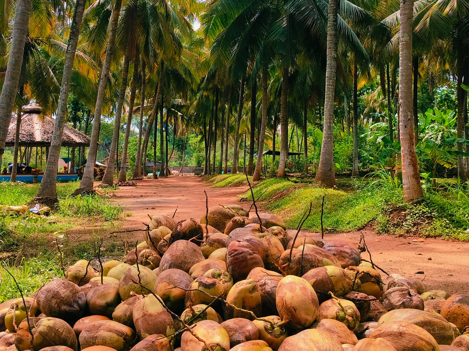 Sunvalley Farms, Palakkad