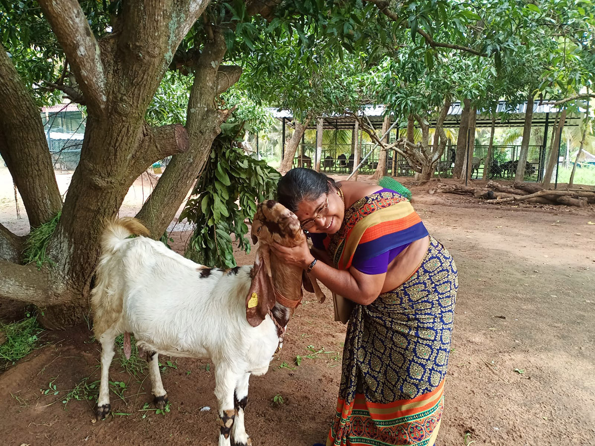 Sunvalley Farms, Palakkad