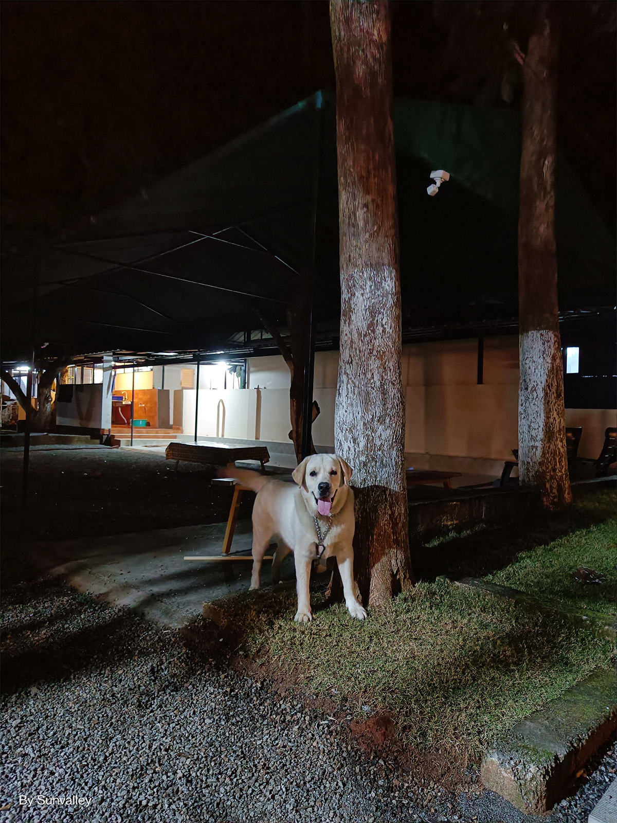 Sunvalley Farms, Palakkad